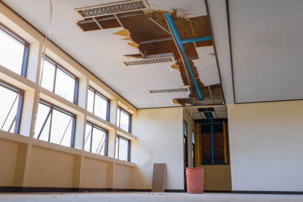 Best Water damage restoration services  in Garfield, NJ