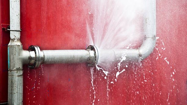 Best 24-hour water damage restoration  in Garfield, NJ